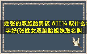 姓张的双胞胎男孩 🌼 取什么名字好(张姓女双胞胎姐妹取名叫 🦅 什么)